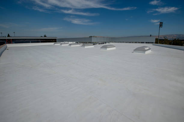 Best Roofing for New Construction  in Rainsville, AL