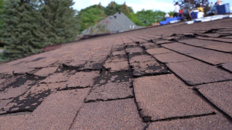 Best Slate Roofing  in Rainsville, AL