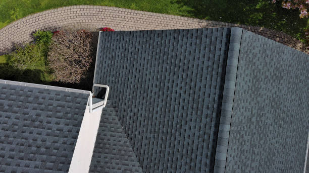 Best Roof Moss and Algae Removal  in Rainsville, AL