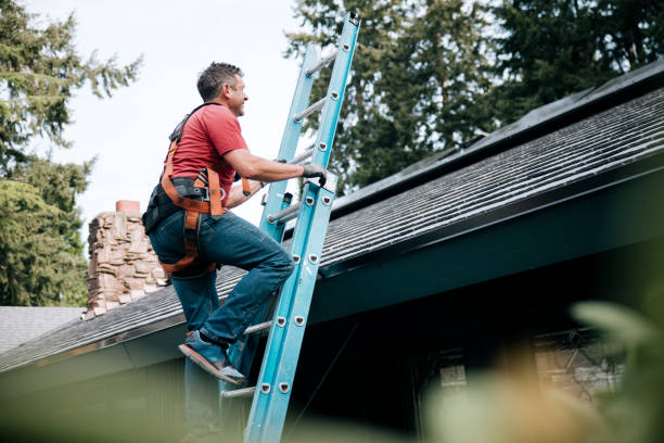 Best Commercial Roofing Services  in Rainsville, AL