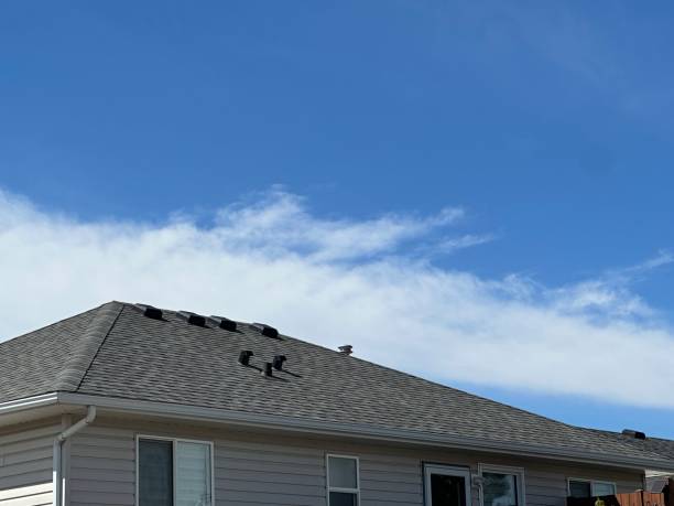 Best Roof Leak Repair  in Rainsville, AL